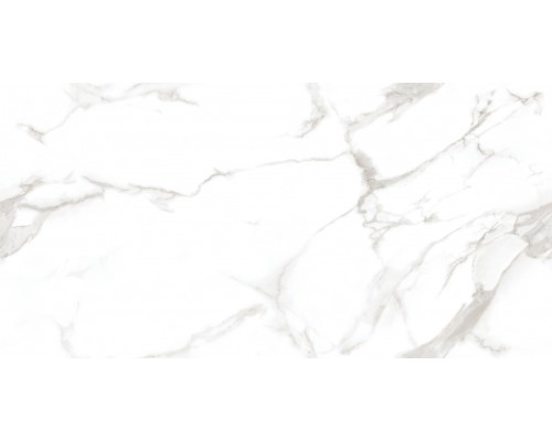 Ceradim Statuario Perfect Silver Керамогранит белый 60х120 Полированный Ceradim Statuario Perfect Silver Керамогранит белый 60х120 Полированный