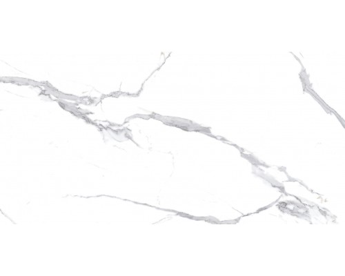 Ceradim Calacatta Splendid Silver Керамогранит белый 60х120 Полированный Ceradim Calacatta Splendid Silver Керамогранит белый 60х120 Полированный