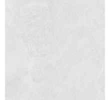 Laparet Porter Silver Pro Керамогранит светло-серый LP6060G0181R 59,5х59,5 матовый R10 STR