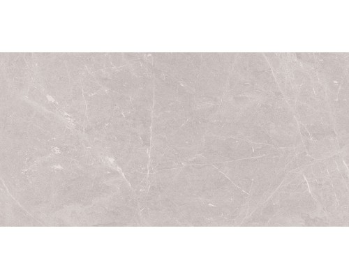 Ceradim Stone Sovereign Керамогранит серый 60х120 Матовый Ceradim Stone Sovereign Керамогранит серый 60х120 Матовый