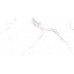 Laparet Statuario White PRO Керамогранит белый 60х120 матовый R10GR CB