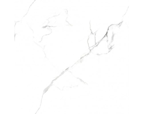 Ceradim Statuario Wonderful Керамогранит белый 60х60 Полированный Ceradim Statuario Wonderful Керамогранит белый 60х60 Полированный