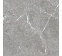 Ceradim Stone Cool Grey Керамогранит серый 60х60 Матовый