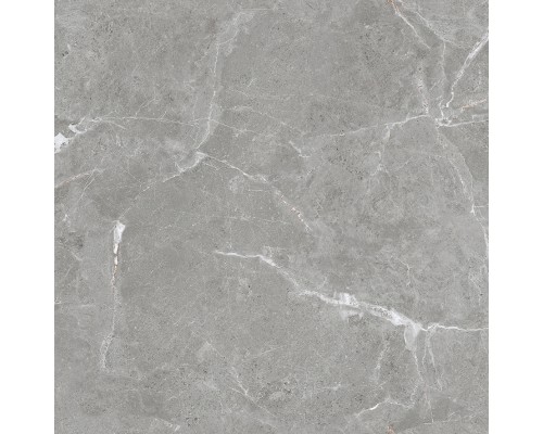 Ceradim Stone Cool Grey Керамогранит серый 60х60 Матовый