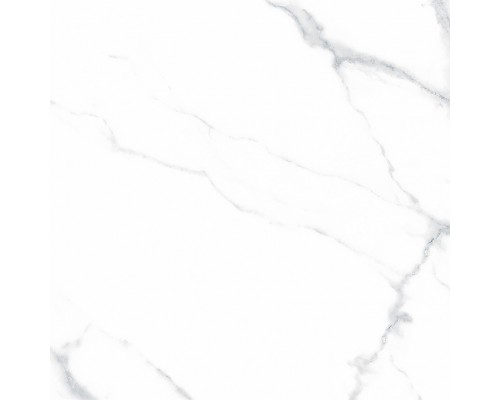 Ceradim Statuario Justice Grey Керамогранит белый 60х60 Матовый Ceradim Statuario Justice Grey Керамогранит белый 60х60 Матовый