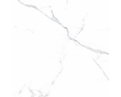 Ceradim Statuario Justice Grey Керамогранит белый 60х60 Матовый Ceradim Statuario Justice Grey Керамогранит белый 60х60 Матовый