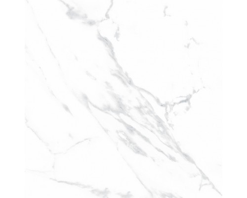 Ceradim Statuario Justice Grey Керамогранит белый 60х60 Матовый Ceradim Statuario Justice Grey Керамогранит белый 60х60 Матовый