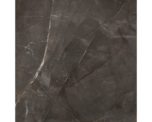 Laparet Timeless Marrone Керамогранит коричневый LP6060G0061R 59,5х59,5 матовый карвинг Laparet Timeless Marrone Керамогранит коричневый LP6060G0061R 59,5х59,5 матовый карвинг