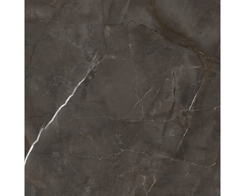 Laparet Timeless Marrone Керамогранит коричневый LP6060G0061R 59,5х59,5 матовый карвинг Laparet Timeless Marrone Керамогранит коричневый LP6060G0061R 59,5х59,5 матовый карвинг