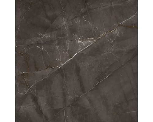 Laparet Timeless Marrone Керамогранит коричневый LP6060G0061R 59,5х59,5 матовый карвинг Laparet Timeless Marrone Керамогранит коричневый LP6060G0061R 59,5х59,5 матовый карвинг