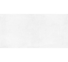 Laparet Betonica Blanco PRO Керамогранит светло-серый 60х120 матовый R11Soft