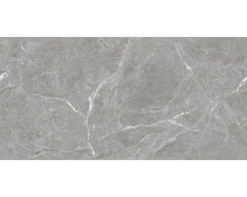 Ceradim Stone Cool Grey Керамогранит серый 60х120 Полированный Ceradim Stone Cool Grey Керамогранит серый 60х120 Полированный