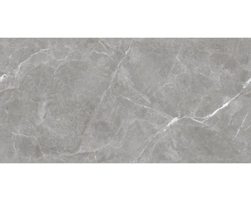 Ceradim Stone Cool Grey Керамогранит серый 60х120 Полированный Ceradim Stone Cool Grey Керамогранит серый 60х120 Полированный