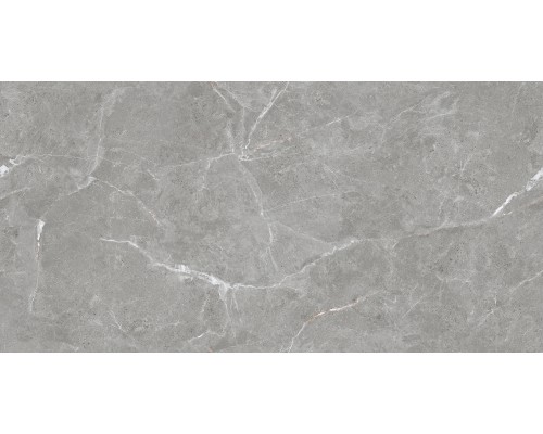 Ceradim Stone Cool Grey Керамогранит серый 60х120 Полированный Ceradim Stone Cool Grey Керамогранит серый 60х120 Полированный