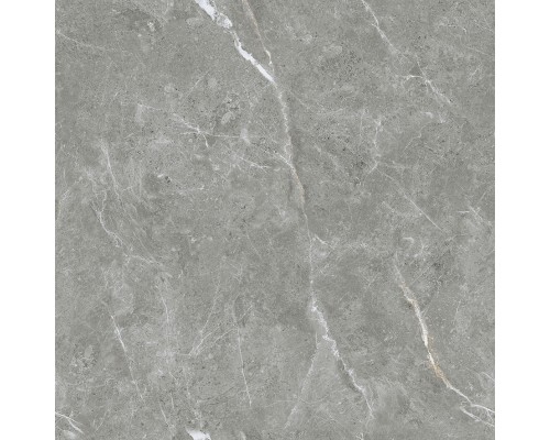 Ceradim Stone Cool Grey Керамогранит серый 60х60 Полированный