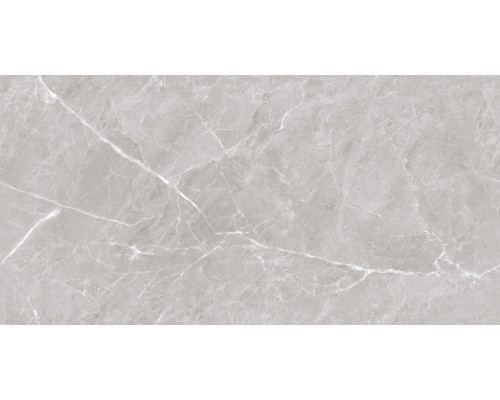 Ceradim Mramor Chic Silver Керамогранит серый 60х120 Полированный Ceradim Mramor Chic Silver Керамогранит серый 60х120 Полированный