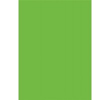 Союз мебельный щит 305Г весенний зеленый Премиум 4*600*3050