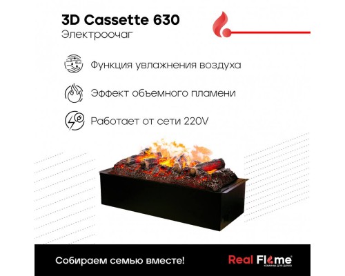 RealFlame Электроочаг 3D Cassette 630