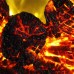 RealFlame Электроочаг Beverly 1000
