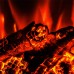RealFlame Электроочаг Eugene