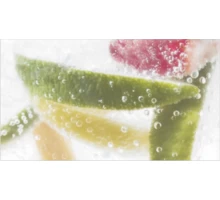 Ceradim Dec Mojito 2 Декор 25х45