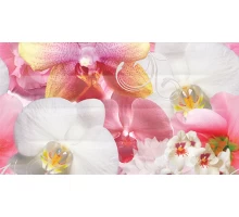 Ceradim Dec Fusion Panno A КПН16FusionA 25х45