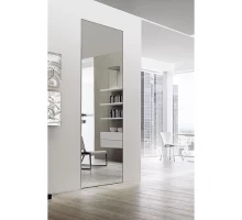 Дверь Belwooddoors Межкомнатная дверь Спейс с зеркалом Зеркало незакалённое